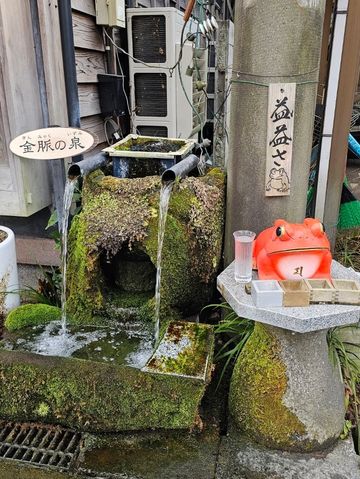 🌿阿蘇山腳下的慢時光｜宮地散步日常