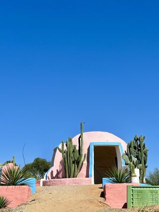 Felt Like Another World - Cactus Country 🌵