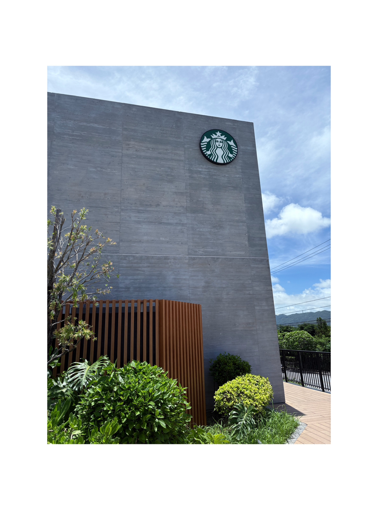 แนะนำแลนด์มาร์คของกินที่เมืองโมโตบุ โอกินาวา กับ Hanasaki Marche (Okinawa Hanasaki Marche) 🏝️