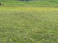 เที่ยวฟุกุโอกะ คิวซู ญี่ปุ่น Spring at Kyushu 2026