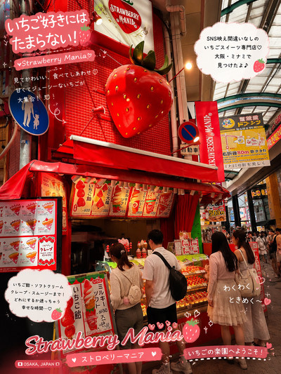Strawberry Mania: A Paradise for Strawberry Lovers in Osaka