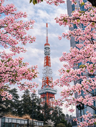 🇯🇵 東京鮮為人知的絕美景色,大多數遊客都會錯過