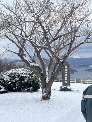 冬日北海道：一段令人難忘的雪中奇緣❄️⛄️
