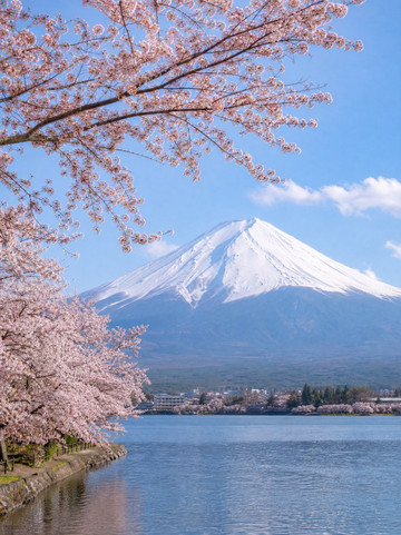 Under RM2000 for Japan Sakura Season! Peak Season Saver🎒🌸 | Trip