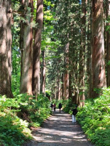 長野駅から戸隠へのバス利用ガイド。 | Trip.com 長野市