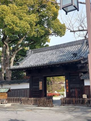 日本名古屋德川園🍁紅葉季絕美庭院