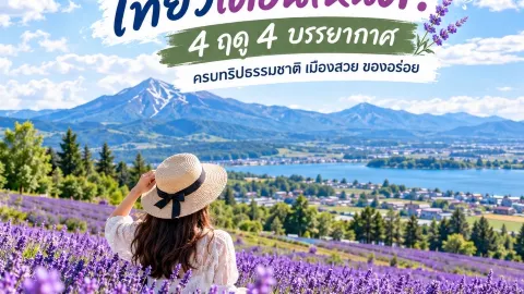 HOKKAIDO 4 SEASONS: The Ultimate Guide to When to Visit! — traveler post in Biei