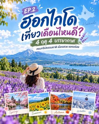🇯🇵 HOKKAIDO 4 SEASONS ❄️🌸🍁 When is the best time to visit Hokkaido? How different is the beauty of each season?