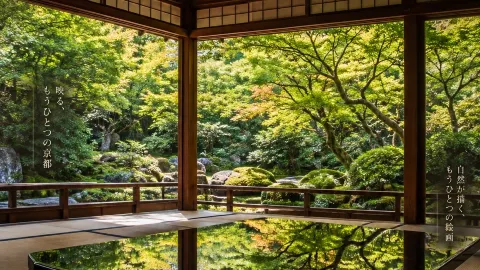 🇯🇵 RURIKOIN — Kyoto memiliki sebuah kuil di mana dedaunan musim gugur terpantul seperti cermin 🍃✨ Seindah lukisan hidup! — traveler post in Kyoto