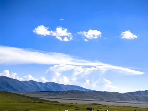 Discovering the Local Life in Nalati Grassland
