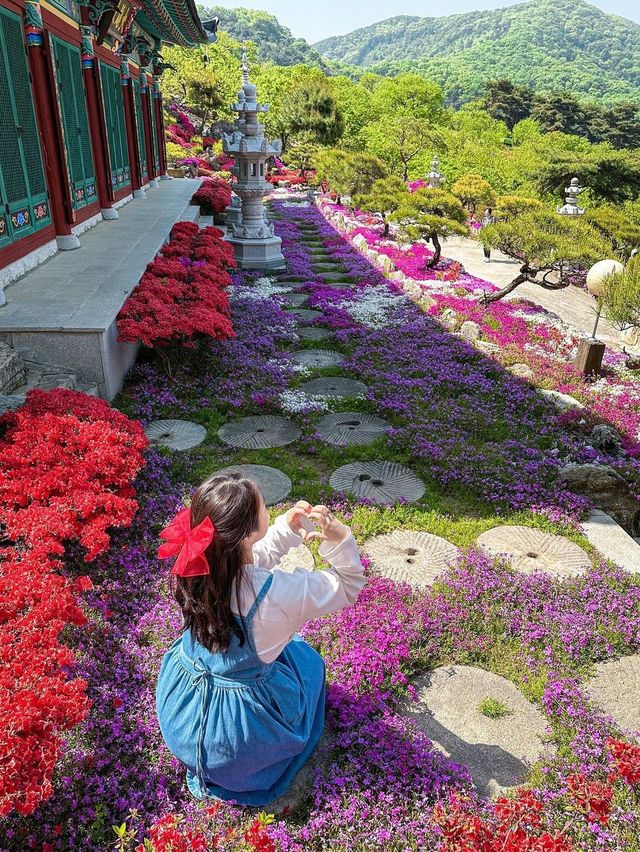 녹음짙은 공주 여행지 추천💚