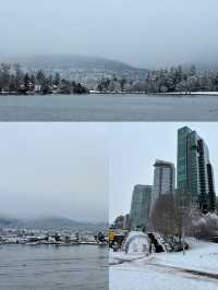 🇨🇦冬季的溫哥華市中心｜雪景與節日氣氛⛄️ 