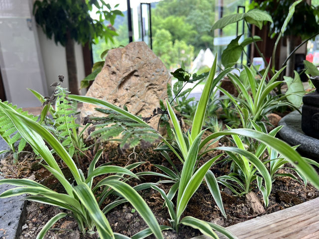 A Hidden Gem in South Kunshan