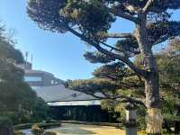 🎋【東京根津美術館 Nezu Museum】都會中的和風秘境🌿｜日式建築＋夢幻庭園＋東洋藝術珍藏｜超值得一訪！