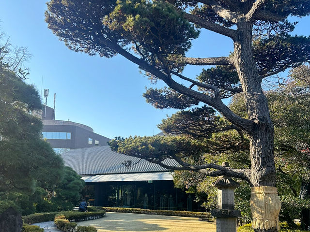 🎋【東京根津美術館 Nezu Museum】都會中的和風秘境🌿｜日式建築＋夢幻庭園＋東洋藝術珍藏｜超值得一訪！