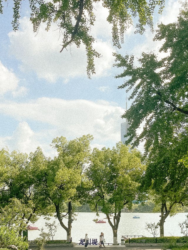 Peaceful Afternoon at Xuanwu Lake 🌿✨