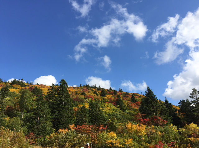 紅葉の絶景!青森・八甲田大岳で味わう秋の天空トレッキング 紅葉の絶景!青森・八甲田大岳で味わう秋の天空トレッキング