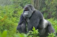 adventure  experience in rwanda 