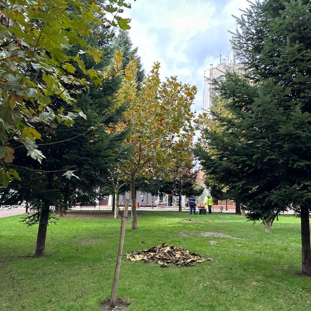 Autumn in Romania be like ❤️