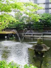 【兵庫県/生田神社⛩️】