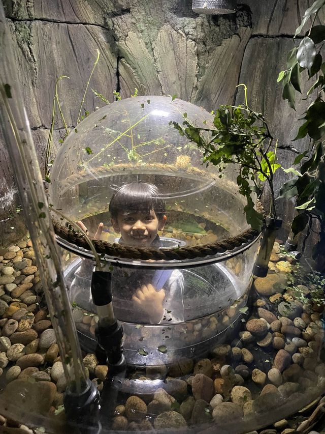 遊覽大笨鐘倫敦眼海洋館行程