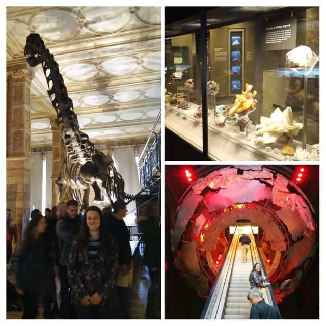 Explore Earth's Wonders at London's Natural History Museum! 🦕🌟