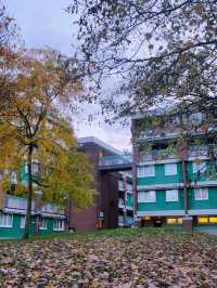 The Beautiful Lansdowne estate in Sheffield!