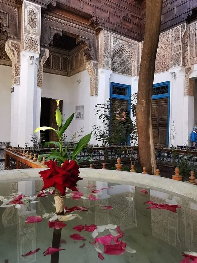 Majestic Moments in Marrakech's Medina