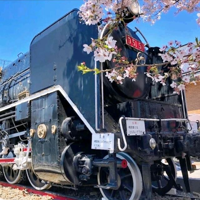 《嵯峨嵐山駅》🌸浪漫風景火車之旅🌸