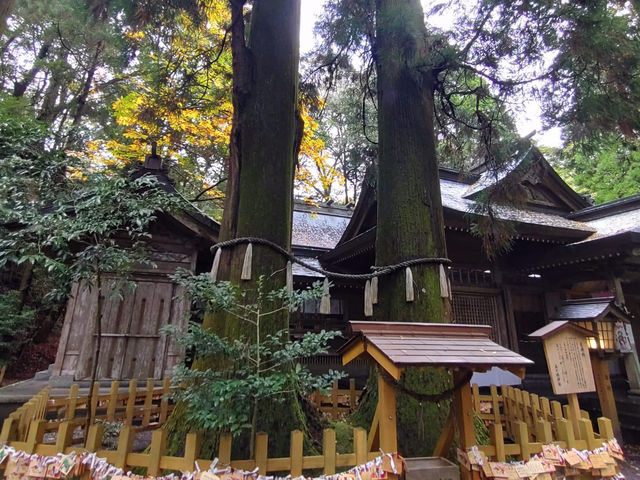 Takachiho Shrine 🇯🇵