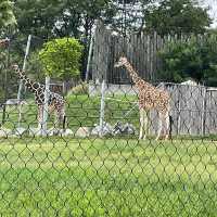 The Maryland Zoo in Baltimore 🇺🇸