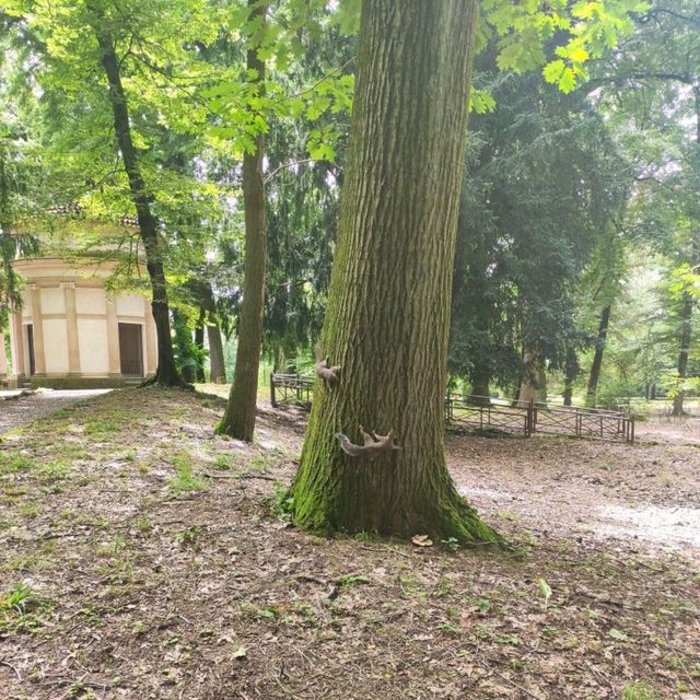 Spot the Ducks and Squirrels of Monza Park! 🦆🐿️