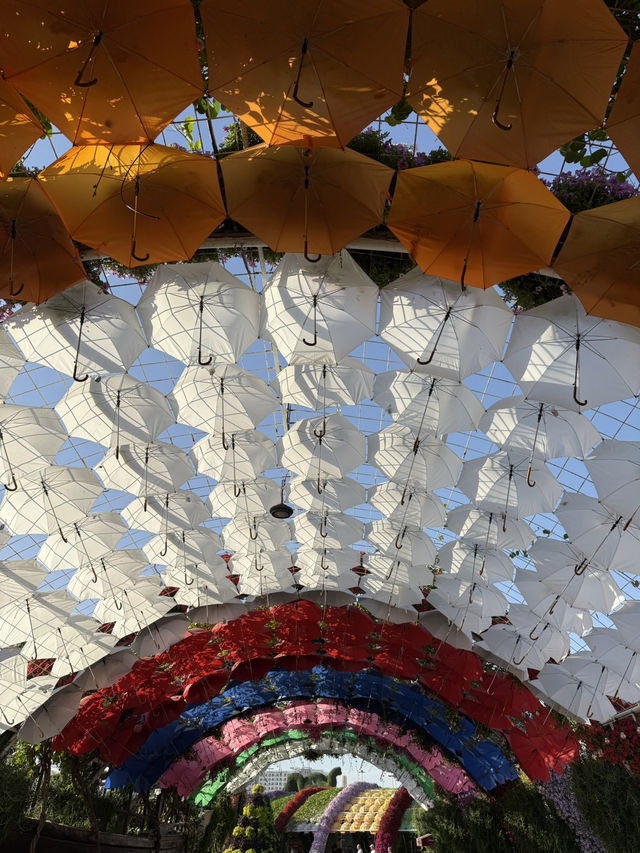 Dubai Miracle Garden: A Floral Wonderland! 🌸✨🇦🇪
