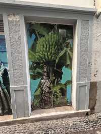 Old town doors 