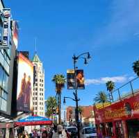 Stroll Among the Stars: The Walk of Fame in LA! ⭐️🎬