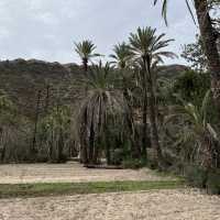 How to spend 5 days in Agadir