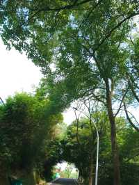 麒麟山公園