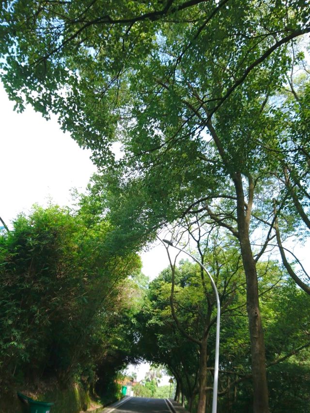 麒麟山公園