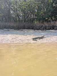 Kayaking with crocodiles in Holbox