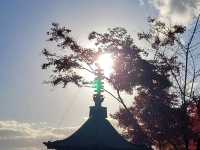 Beautiful Japan in the autumn.