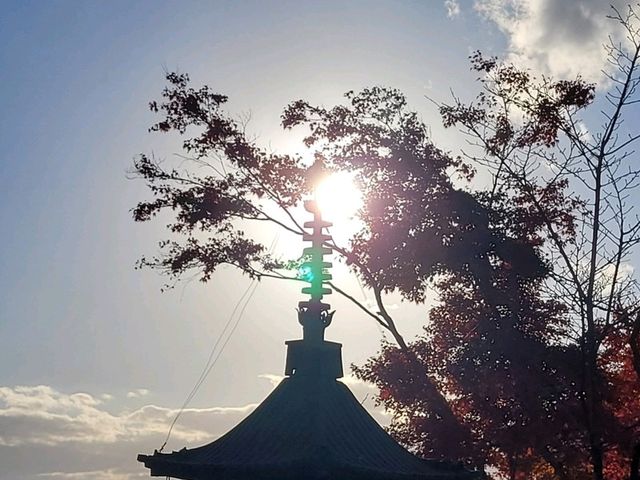 Beautiful Japan in the autumn.