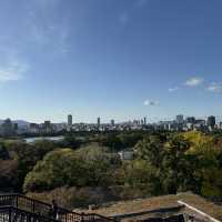 A Perfect Day in Fukuoka: Art, Gardens, Castle Views & Ramen Hits 