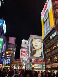 🌸 Jaw Dropping Japan - Shrines, Train Lines & Bovine.
