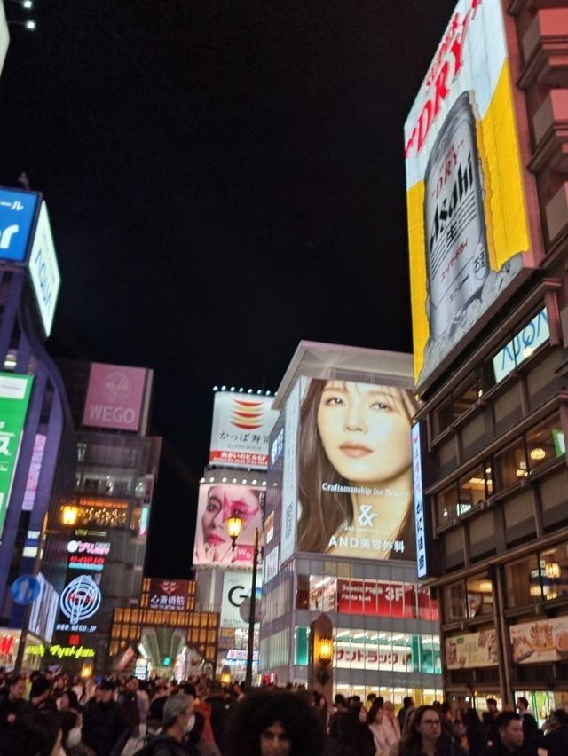 🌸 Jaw Dropping Japan - Shrines, Train Lines & Bovine.