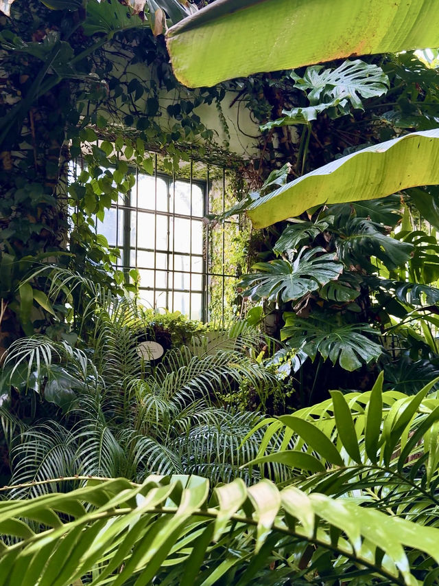 Romantic Green Escape