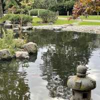 🌸 Hidden Elegance in West London: A Stroll Through Holland Park 🌿