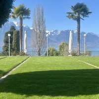 Incredible view and Swiss alpines