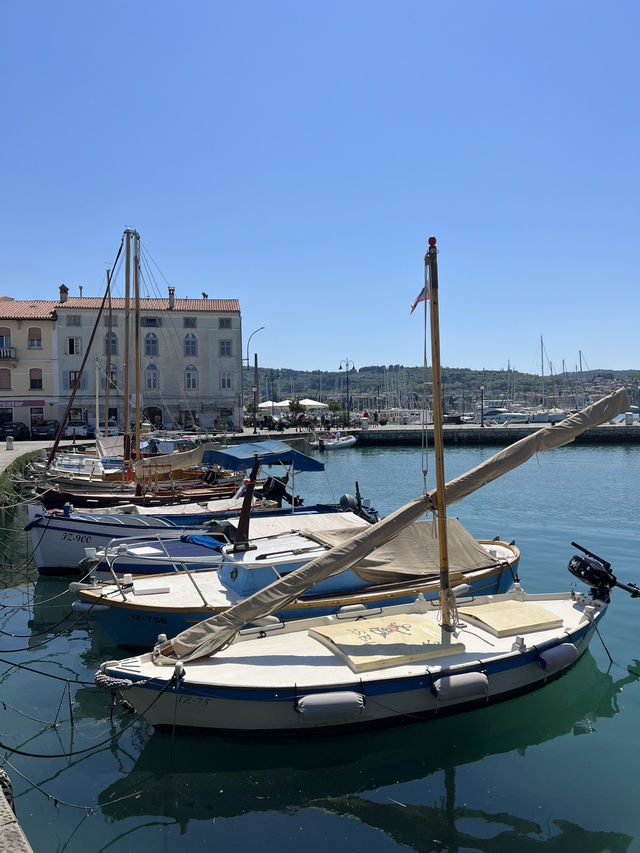 🇸🇮 斯洛維尼亞伊佐拉（Izola）🐚