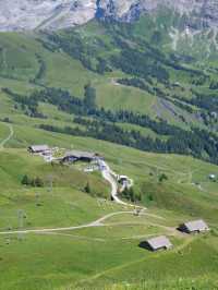 🏔️ รีวิว Grindelwald First – ประสบการณ์สุดขอบฟ้า