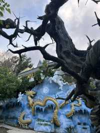 Crazy house of Dalat and new look at it!